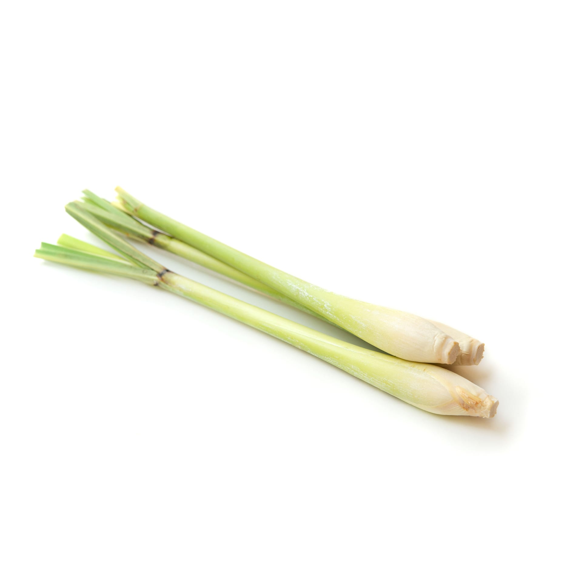 Lemongrass - 100g | Fallon & Byrne