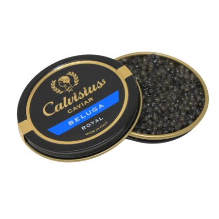 Cavuar Calvisius