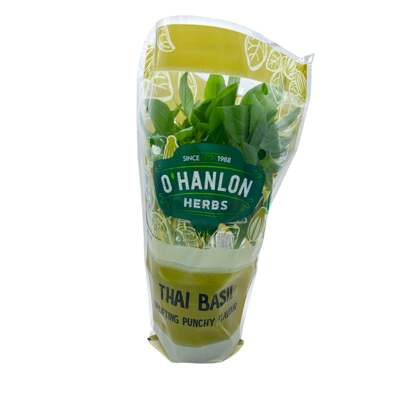 O Hanlon Herbs Thai Basil